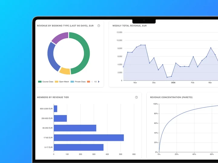 Revenue overview